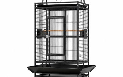 173cm Bird Cage Black